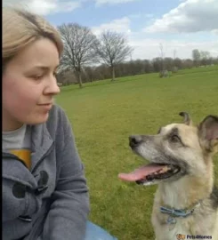 Dog walker Liverpool L7