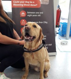 Pet Blood Bank UK