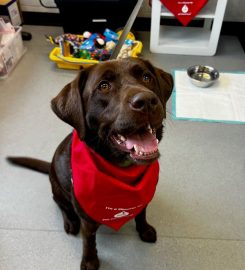 Pet Blood Bank UK