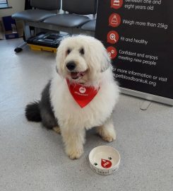 Pet Blood Bank UK