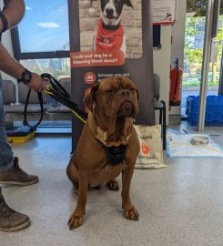 Pet Blood Bank UK