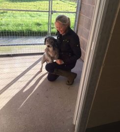 Barnfield Luxury boarding and daycare for dogs