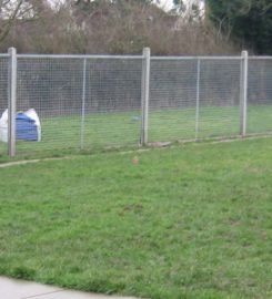 Wayside Kennels & Cattery