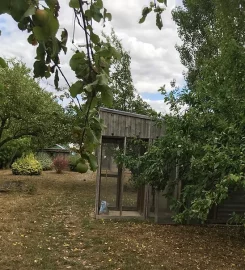 KINGSLEA BOARDING CATTERY