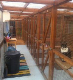 Rainbows End Boarding Cattery