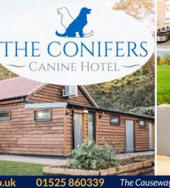 The Conifers Canine Hotel