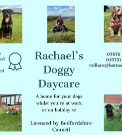 Rachael’s Doggy Day Care