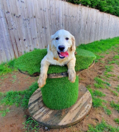 Woburn Forest Kennels