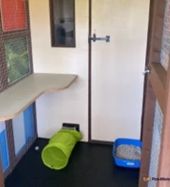 Kitty Comforts Boarding Cattery