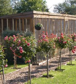 HANSCOMBE BOARDING CATTERY