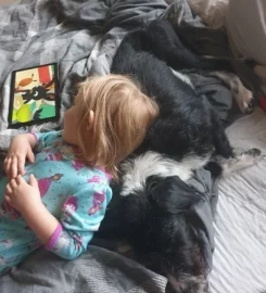 Does anyone want there dogs walked?