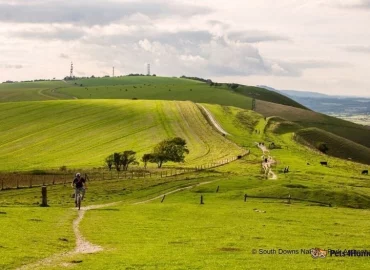 Dog walking in Steyning and Upper Beeding