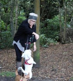 JILLS HAPPY PETS DOG WALKING AND DROP IN SERVICES