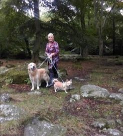 JILLS HAPPY PETS DOG WALKING AND DROP IN SERVICES