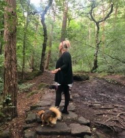 JILLS HAPPY PETS DOG WALKING AND DROP IN SERVICES