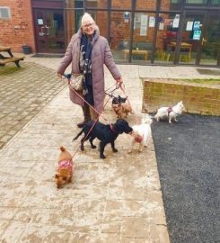 JILLS HAPPY PETS DOG WALKING AND DROP IN SERVICES