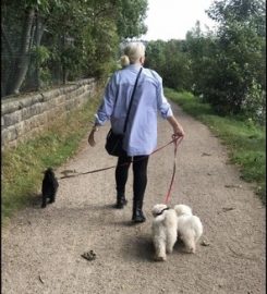 JILLS HAPPY PETS DOG WALKING AND DROP IN SERVICES