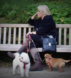 JILLS HAPPY PETS DOG WALKING AND DROP IN SERVICES