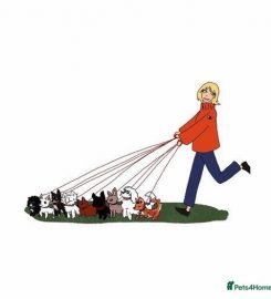 JILLS HAPPY PETS DOG WALKING AND DROP IN SERVICES