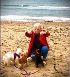 JILLS HAPPY PETS DOG WALKING AND DROP IN SERVICES