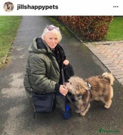 JILLS HAPPY PETS DOG WALKING AND DROP IN SERVICES