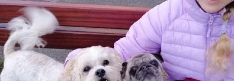 Kettering (KLV) dog walker