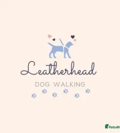 Leatherhead Dog Walker