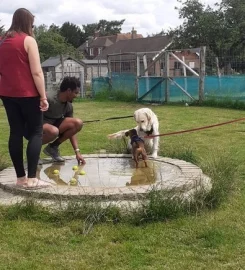 TED'S FIELD SECURE DOG EXERCISE FIELD FUN ACTIVITY
