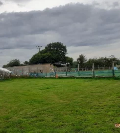 TED'S FIELD SECURE DOG EXERCISE FIELD FUN ACTIVITY