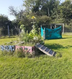 TED'S FIELD SECURE DOG EXERCISE FIELD FUN ACTIVITY