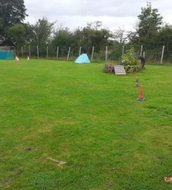 TED'S FIELD SECURE DOG EXERCISE FIELD FUN ACTIVITY