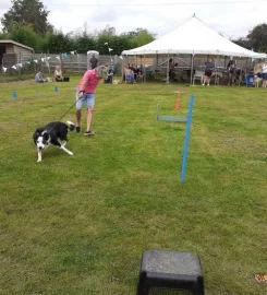 TED'S FIELD SECURE DOG EXERCISE FIELD FUN ACTIVITY