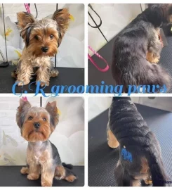 Dog Grooming Services