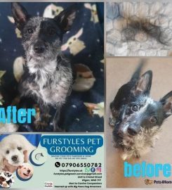 FURSTYLES PET GROOMING