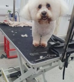 FURSTYLES PET GROOMING