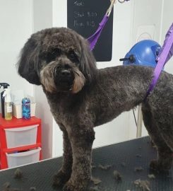 FURSTYLES PET GROOMING