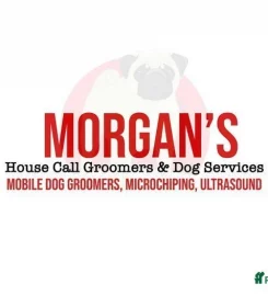 Morgan’s house call dog groomers & services