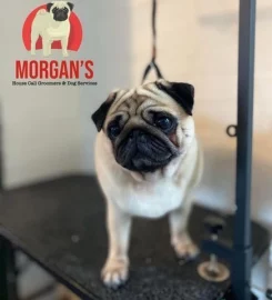 Morgan’s house call dog groomers & services