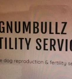 Magnumbullz K9 Fertility Services