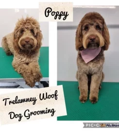 Trelawney Woof Dog Grooming