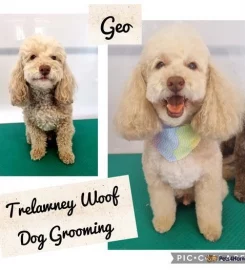 Trelawney Woof Dog Grooming