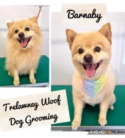 Trelawney Woof Dog Grooming