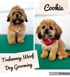 Trelawney Woof Dog Grooming