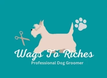 Wags To Riches