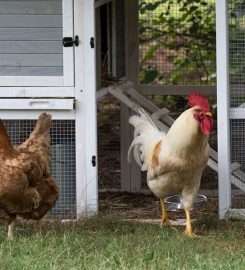 Happier Pets At Home