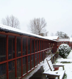 Narly Oak Boarding Cattery