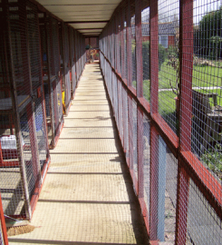 Narly Oak Boarding Cattery