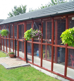 Narly Oak Boarding Cattery