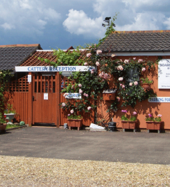 Narly Oak Boarding Cattery