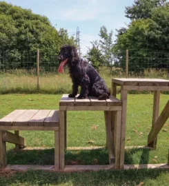 Paw Paddock East Meon